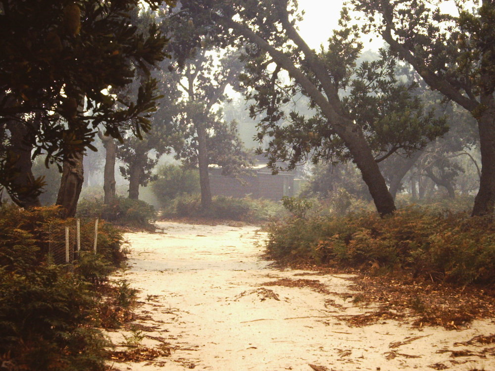 Bushfire smoke, 1978