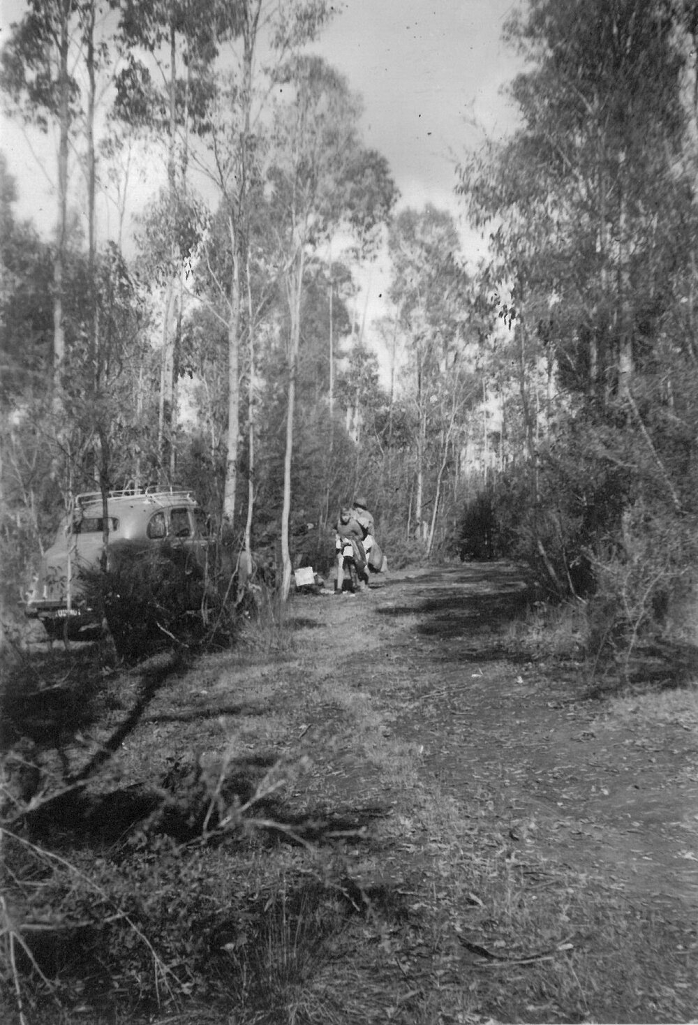Looking up track camp on left, 1956