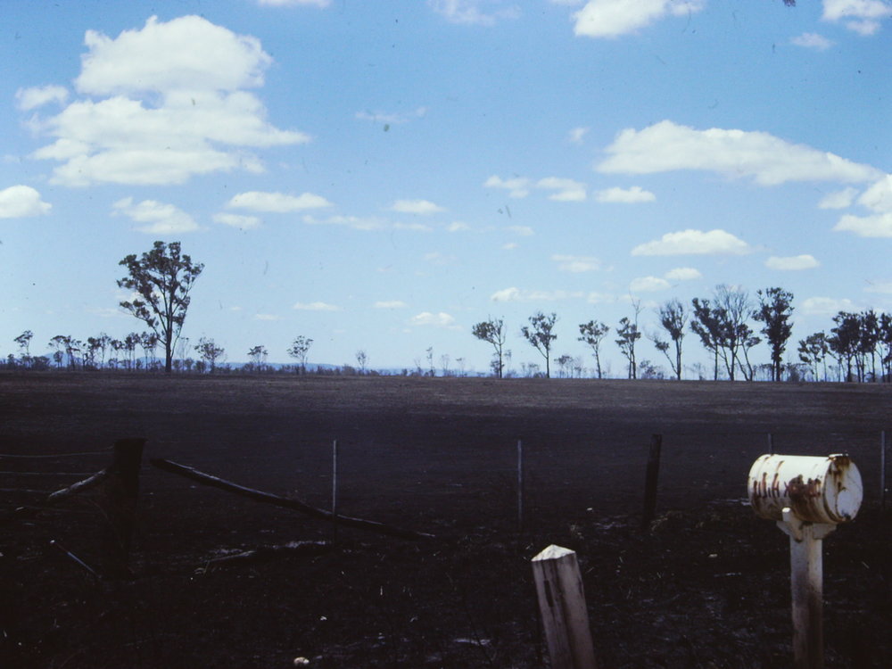 Bushfire damage, 1978