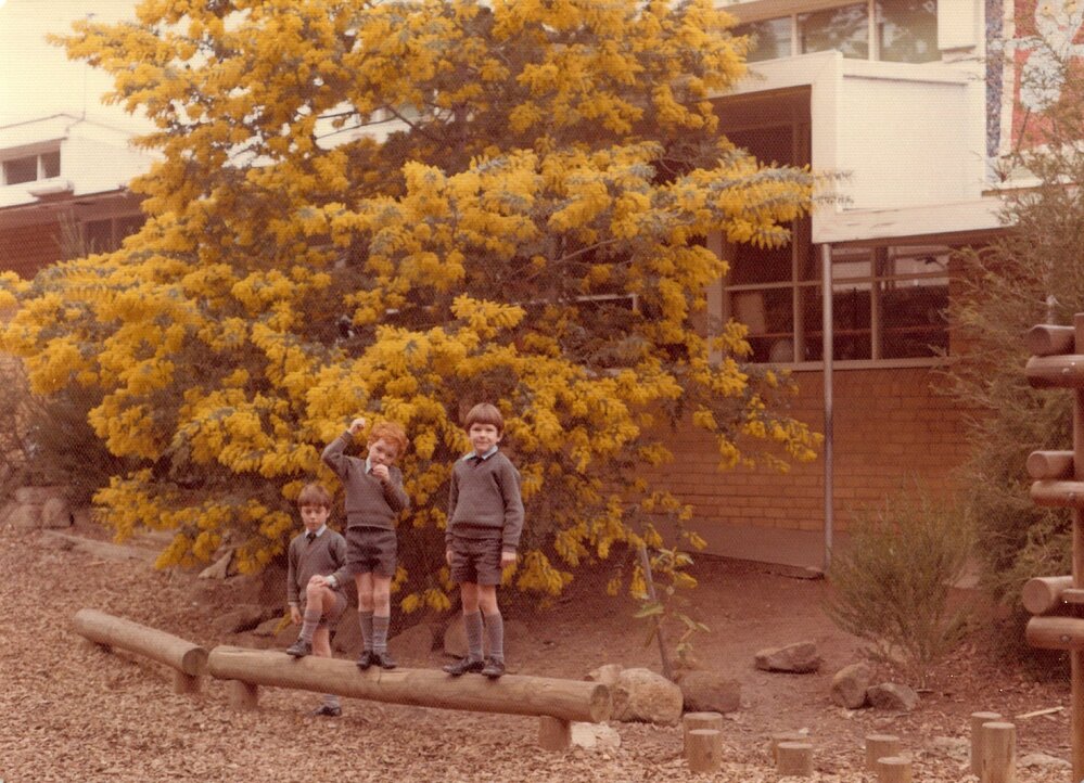 Junior School playground with wattle tree in background, 1975
