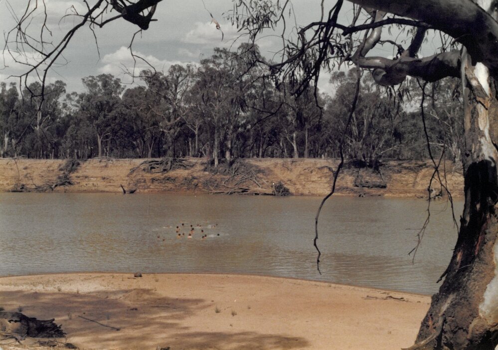 Murray River swim 9C Camp Hattah March 1978