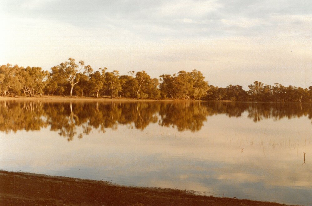 Return to camp from weeding at Hattah, 1979