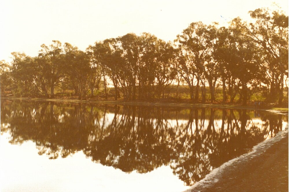 Returning from weeding Hattah Camp, 1979