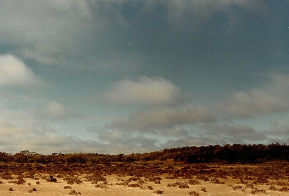 Hattah Camp, 1981