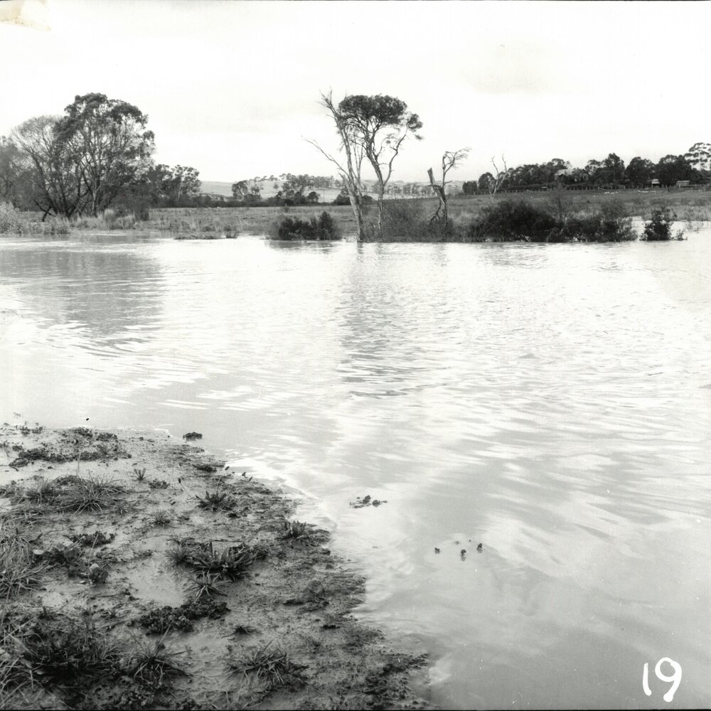 Bulleen Sports Complex, circa 1962