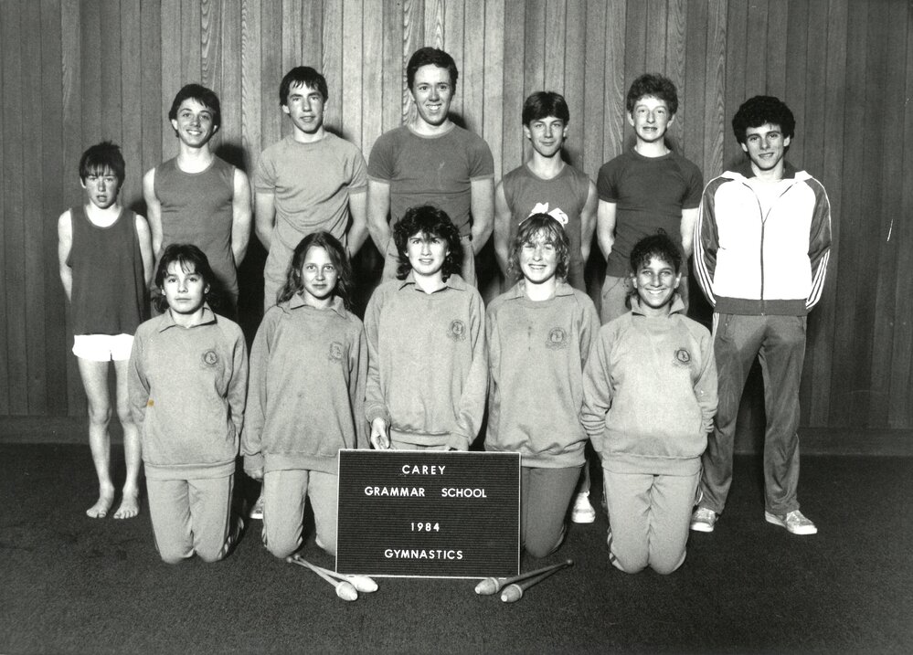 Gymnastics, 1984
