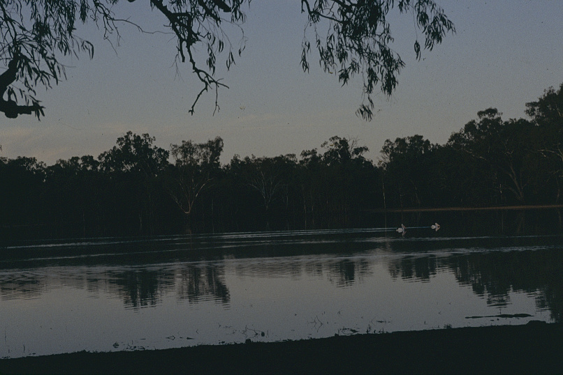 Year 8 Hattah camp, 1992