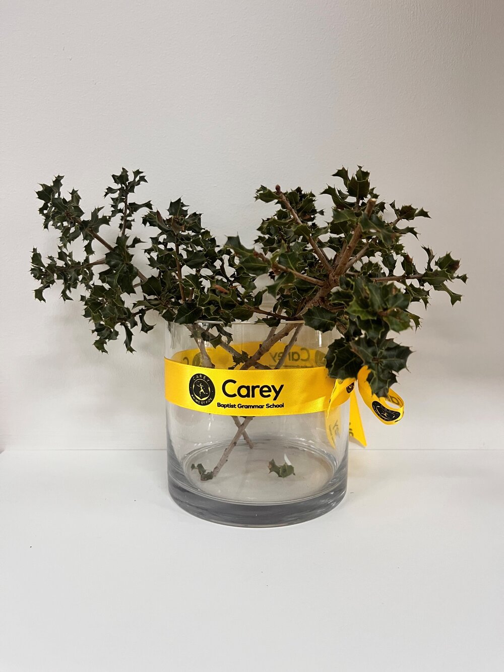 Sprigs from Gallipoli oak (Quercus coccifera subsp. calliprinos), 2025