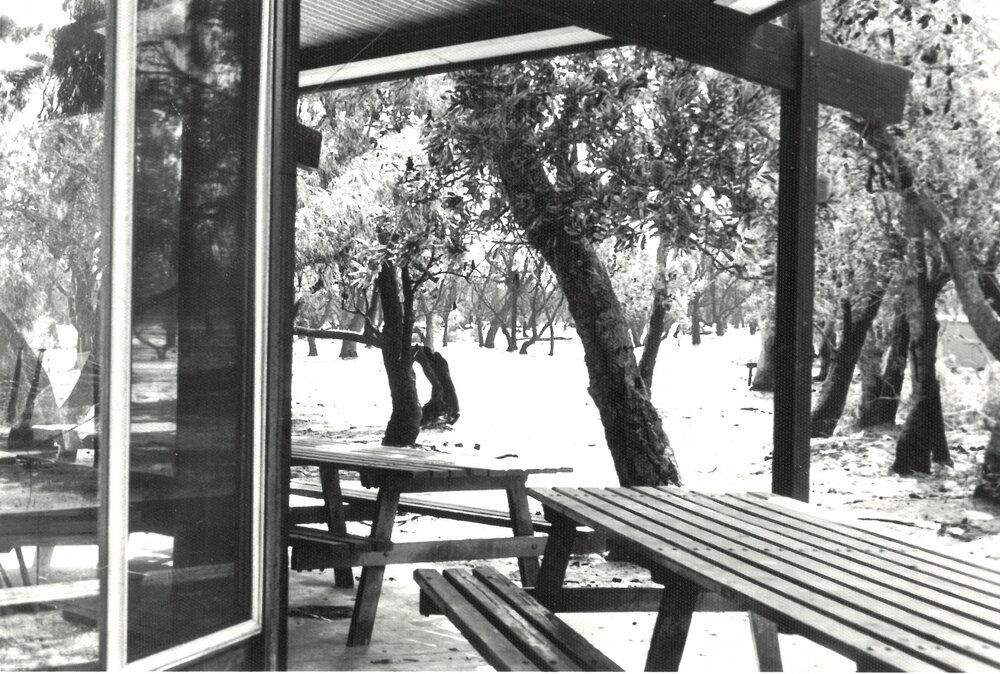 Lyall Hall after the fire, 1978