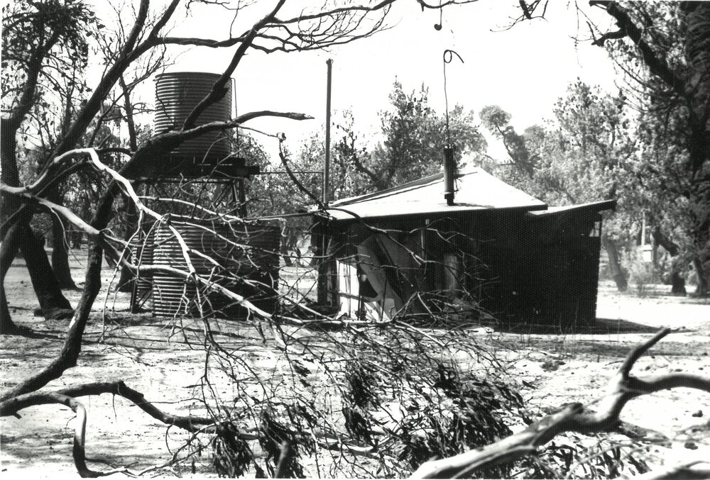 Toonallook after the fire, 1978
