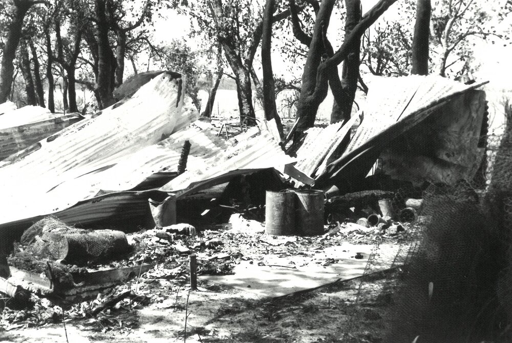Toonallook after the fire, 1978