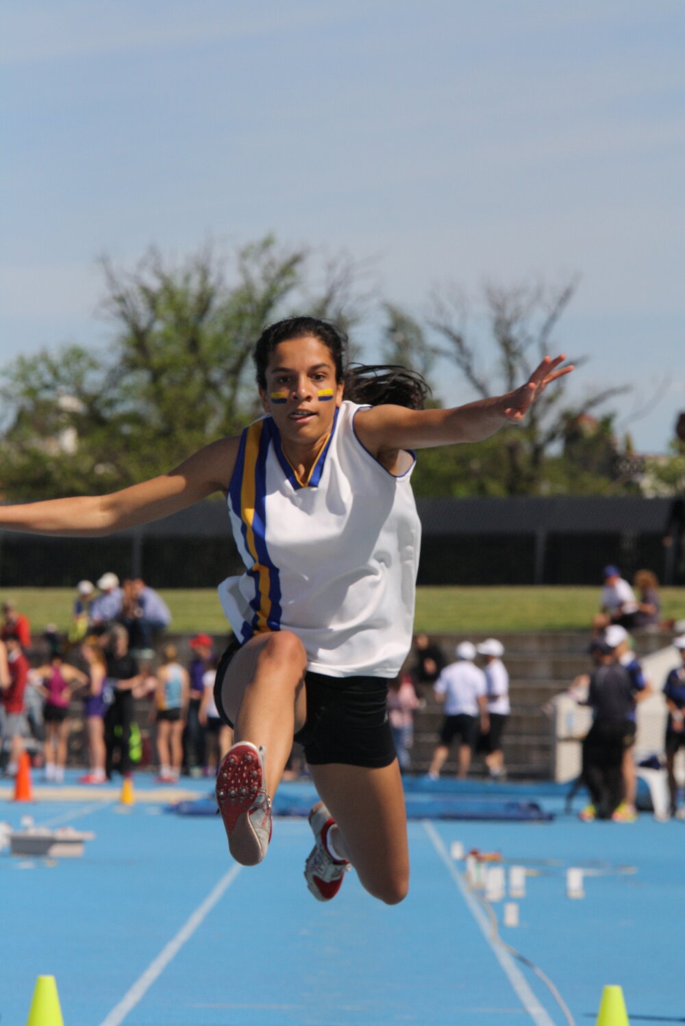 APS Athletics, 2013