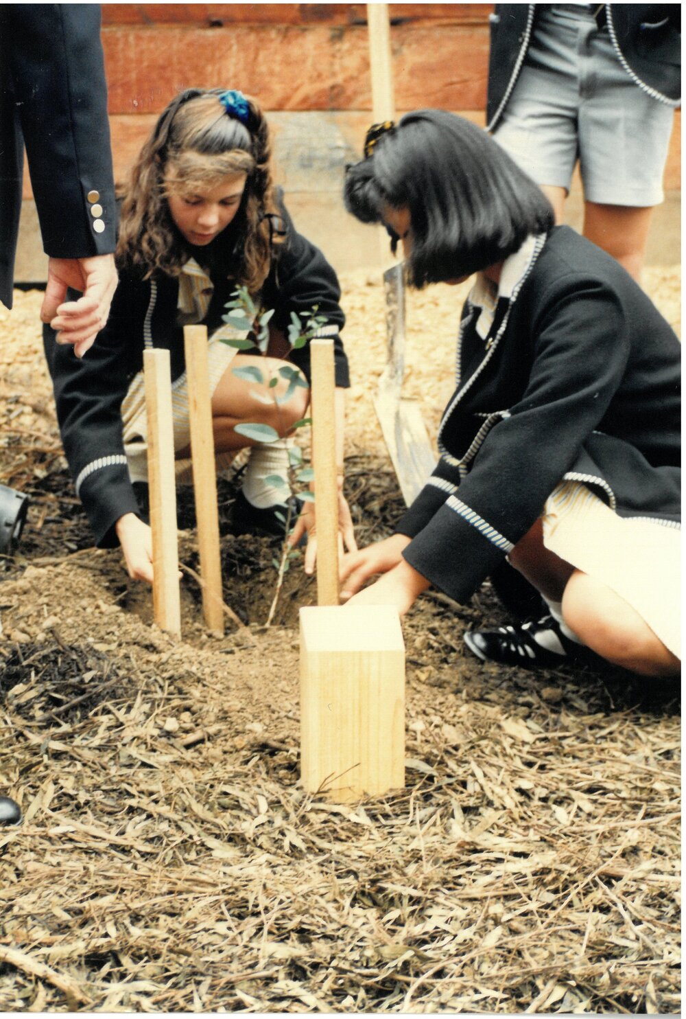Tree planting to mark the first birthday of Carey Donvale, 1990