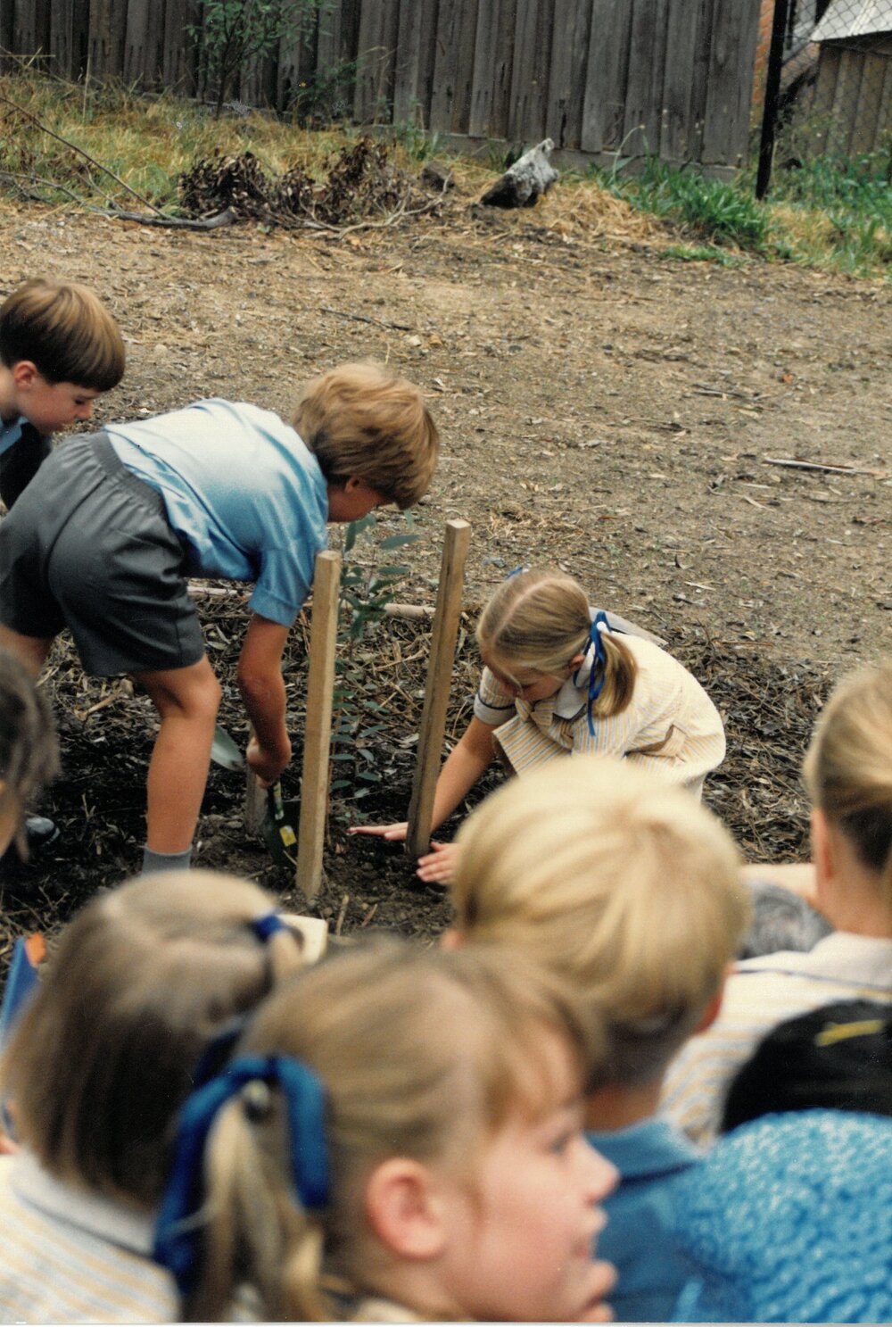 Tree planting to mark the first birthday of Carey Donvale, 1990
