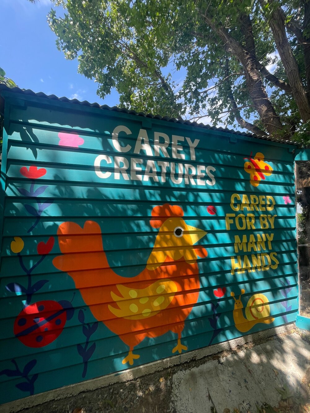 Carey Creatures: cared for by many hands, 2025