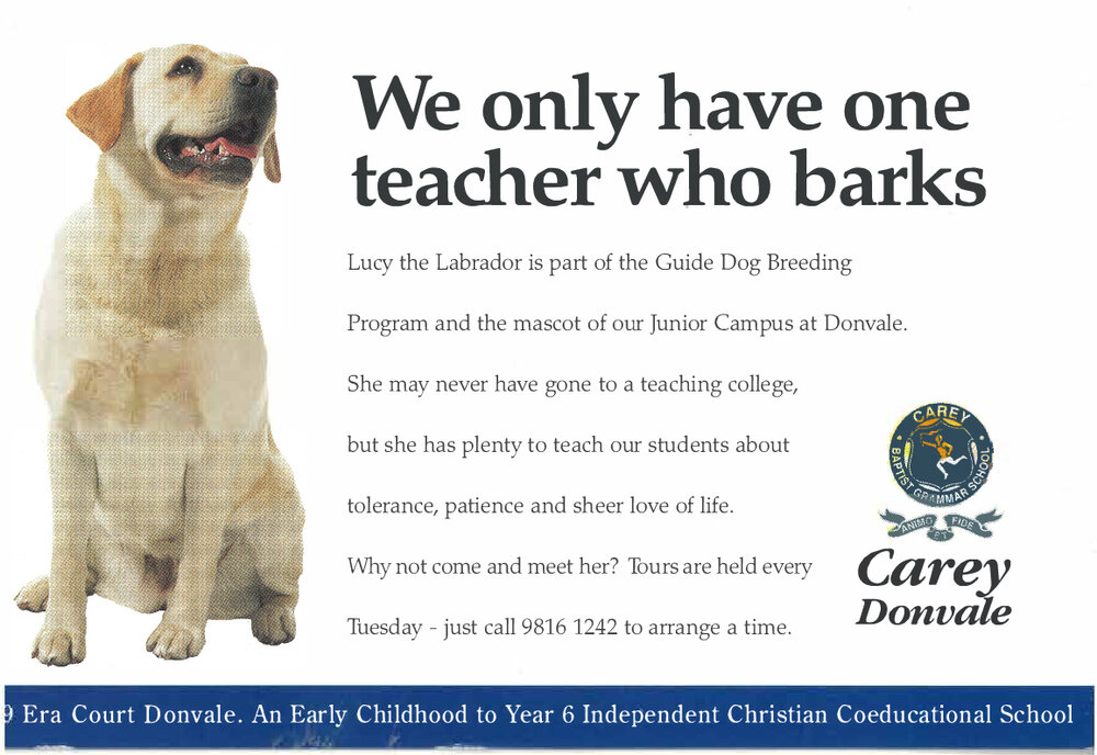 We only have one teacher who barks, 1998