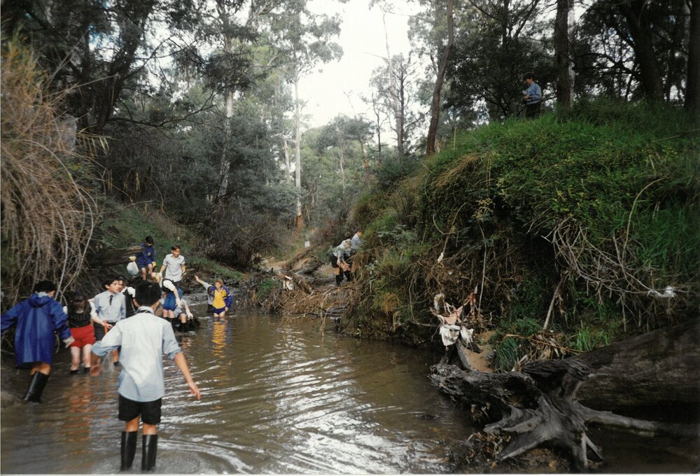 Donvale Wetlands Area, 1997