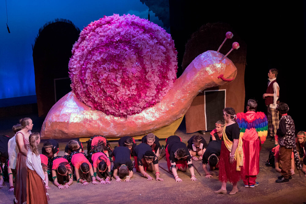 Scene from Donvale musical 'Dr Dolittle Junior'  2015