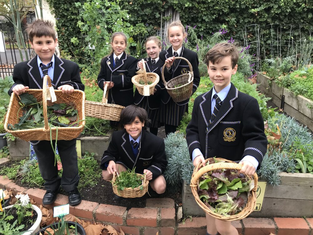 Kitchen Garden program, 2020