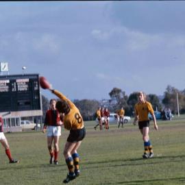Carey versus Brighton Grammar, 1974