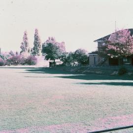 Round the Sandell Oval to Laycock House, 1972