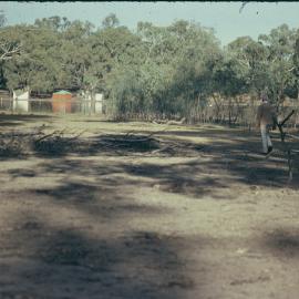 Year 8 Hattah camp, 1992