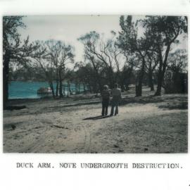 Duck Arm, 1978