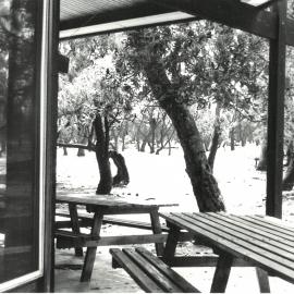 Lyall Hall after the fire, 1978