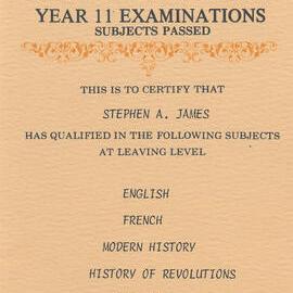 Leaving Certificate (Year 11), 1981