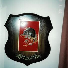 Shinkfield House shield, 1990