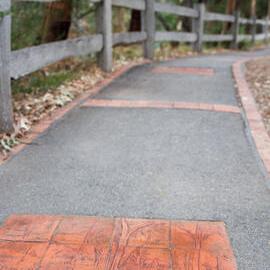 The Gold Rush History Pathway Community Art Project, 2004