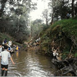 Donvale Wetlands Area, 1997