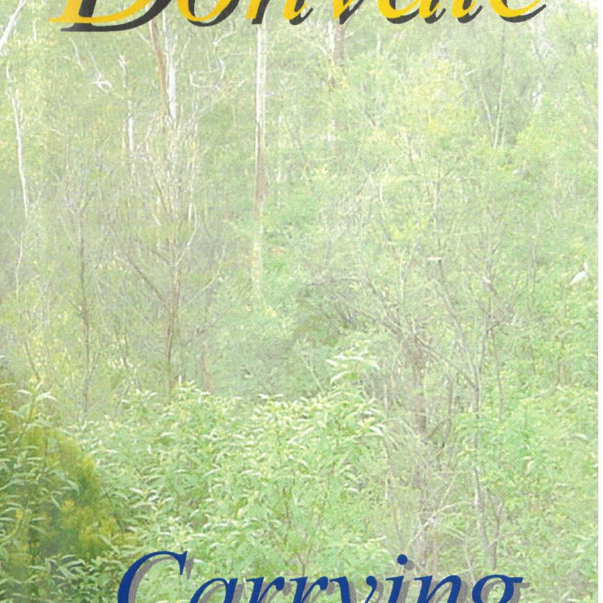 Carey Donvale : Carrying the Flame, 2000