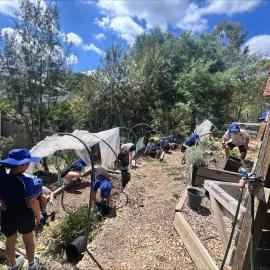 Donvale Year 4 enviro program, 2025