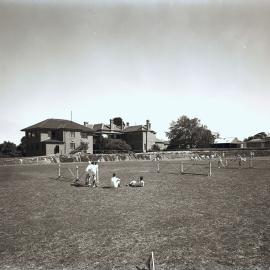 Athletics on the Oval, 1938