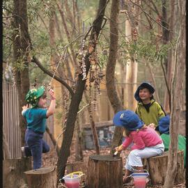 Donvale's bush setting, 2002