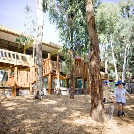 Donvale's bush setting, 2011
