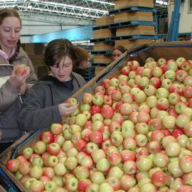 Middle School rural experience, 2004