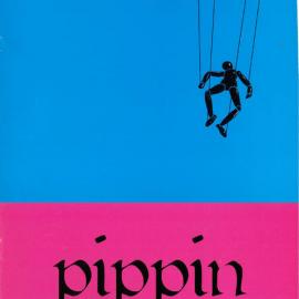 Pippin programme, 2002