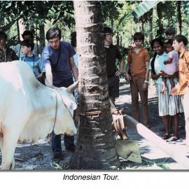 Indonesian tour, 1971