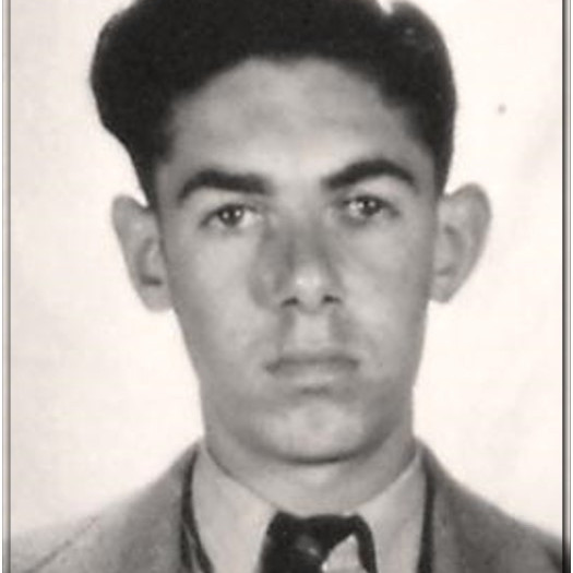 David Kingsley Powers