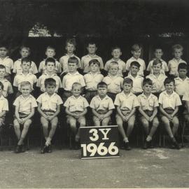 Form 3Y, 1966