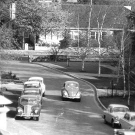 Driveway with silver birches and cars looking towards Barkers Road, 1960s