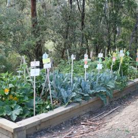 Donvale campus, 2006