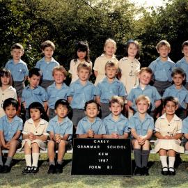 Form B1, 1987