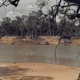 Murray River swim 9C Camp Hattah March 1978