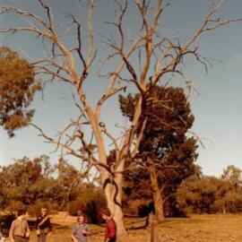 Camp Hattah, 1979