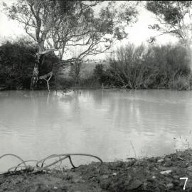 Bulleen Sports Complex, circa 1962