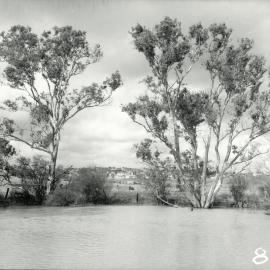 Bulleen Sports Complex, circa 1962