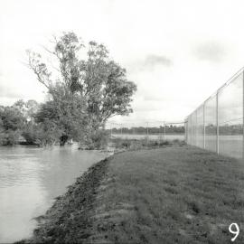 Bulleen Sports Complex, circa 1962